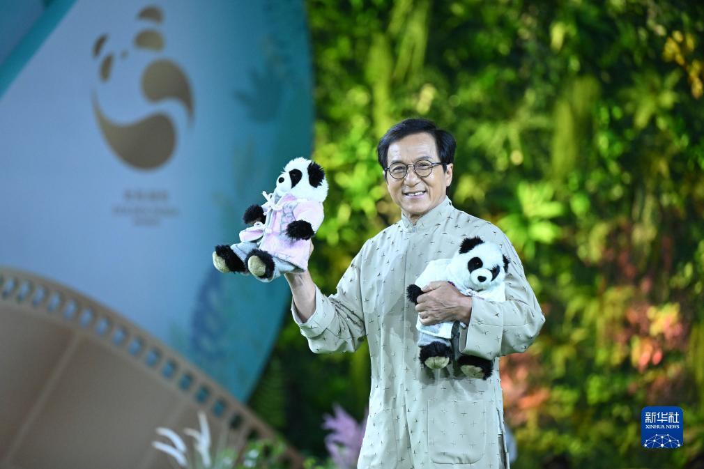 同城游五张牌叫什么